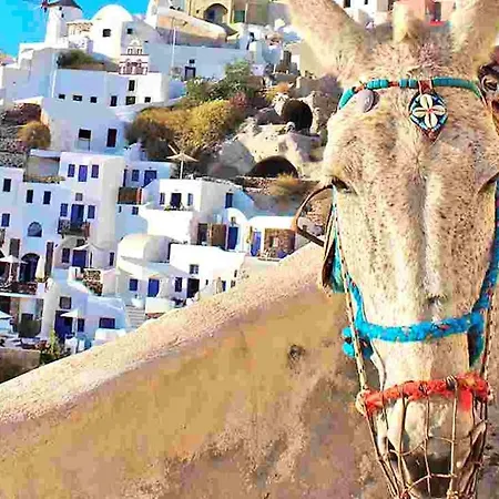 Premium Santorini 1 Bedroom Jacuzzi Underground Private Jacuzzi And Lovely Outdoor Space 别墅